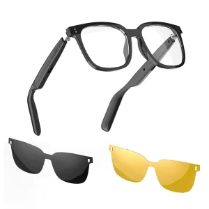 AI Smart Glasses